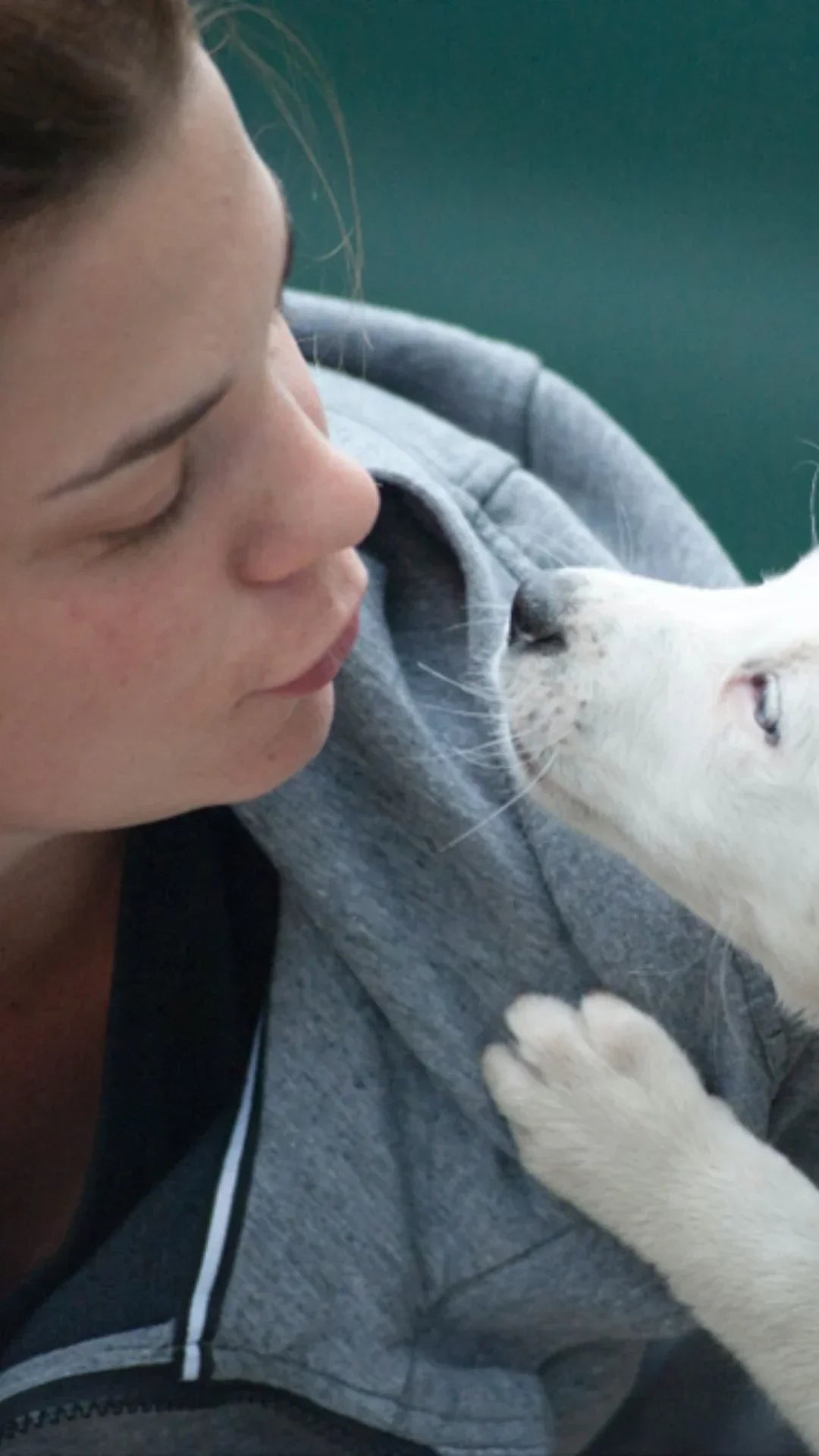 How Pets Foster Addiction Recovery