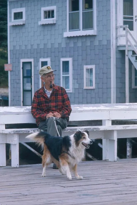 Post-Retirement Life With a Pet