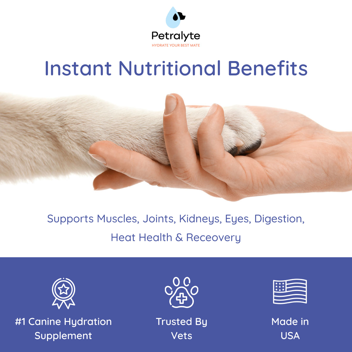 Dog Electrolyte and Joint Supplement