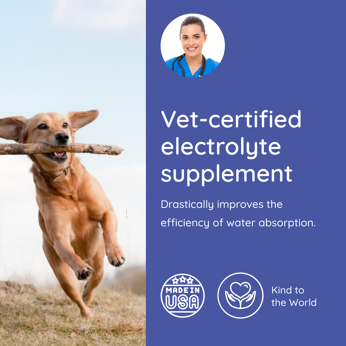 Dog Electrolyte and Joint Supplement