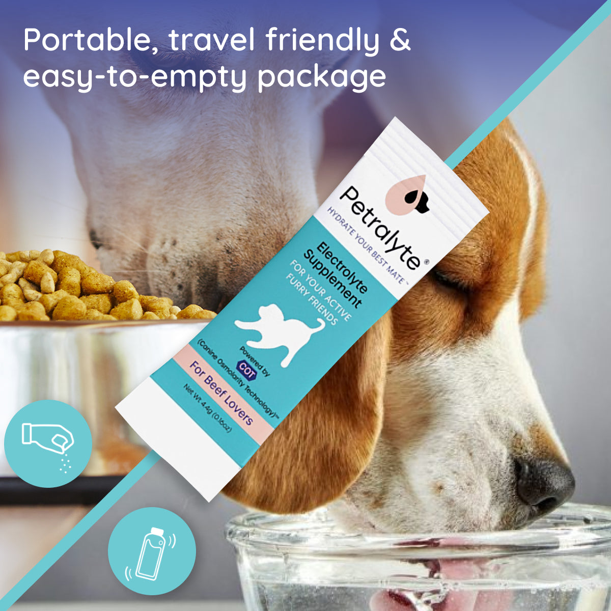 Dog Electrolyte and Joint Supplement