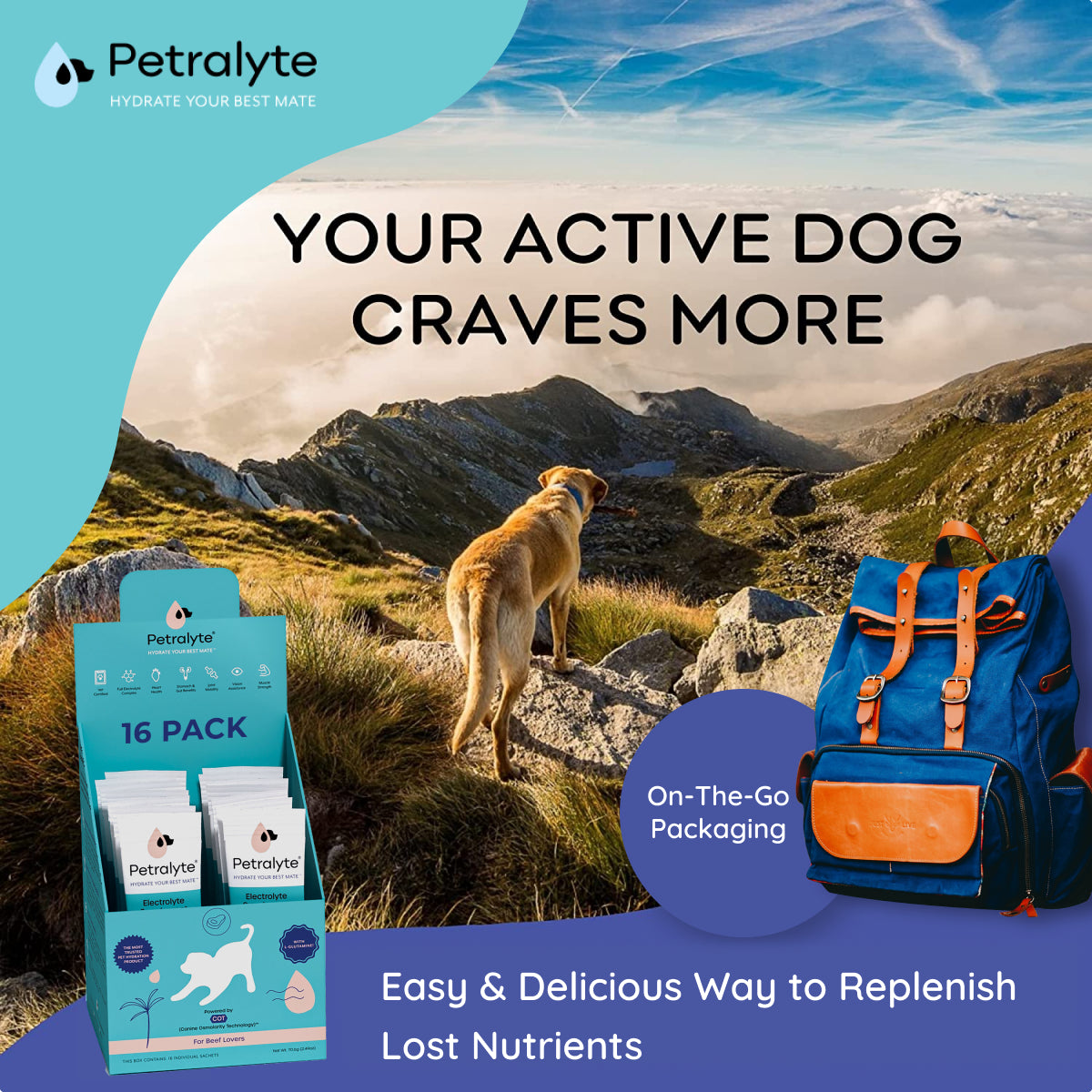 Dog Electrolyte and Joint Supplement