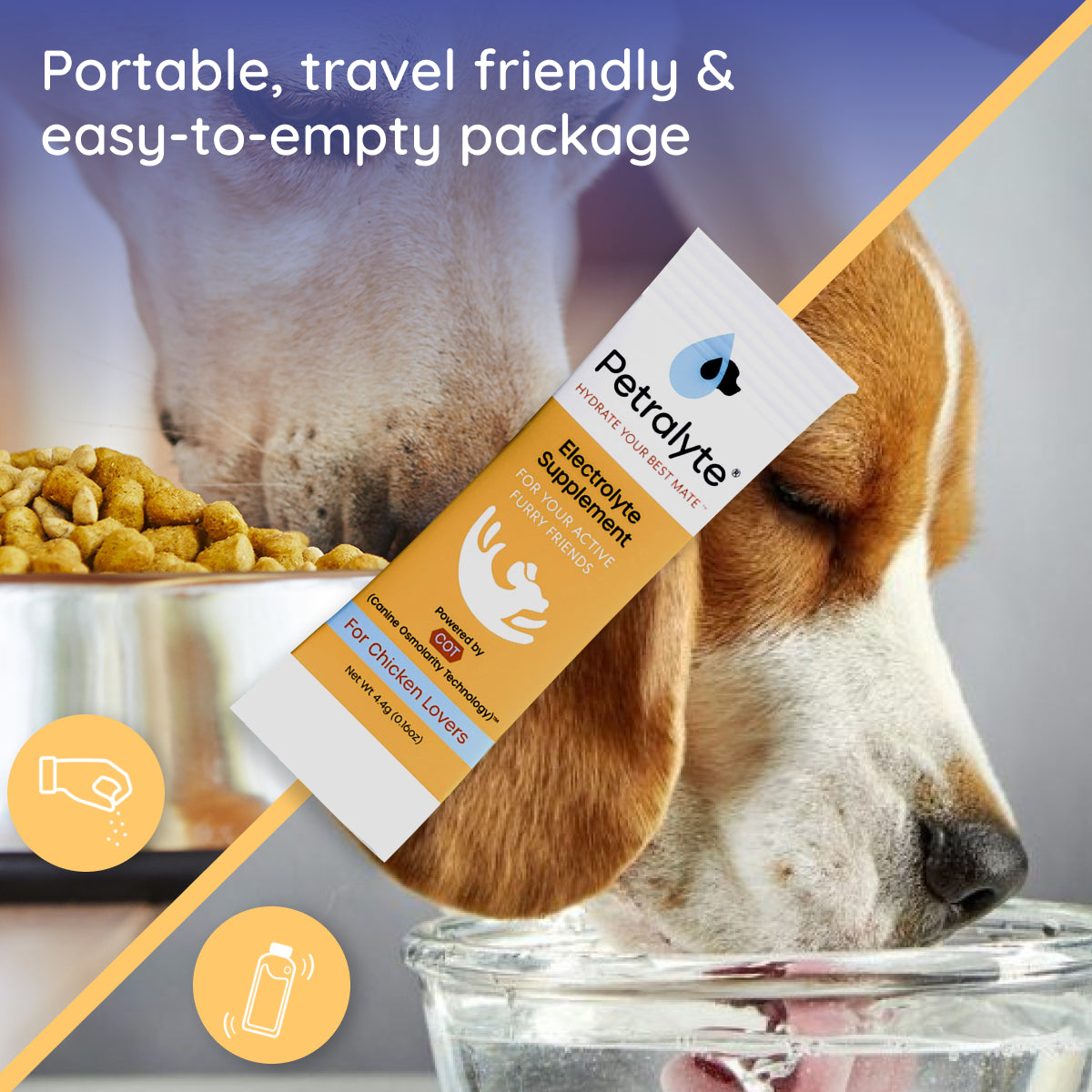 Dog Electrolyte and Joint Supplement
