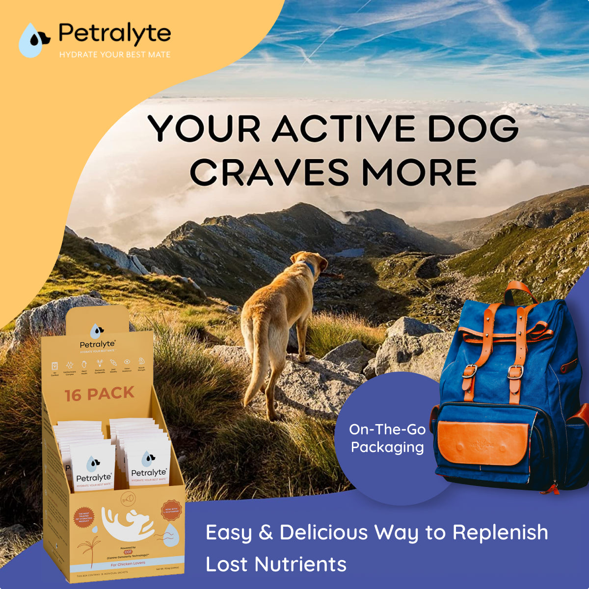 Dog Electrolyte and Joint Supplement
