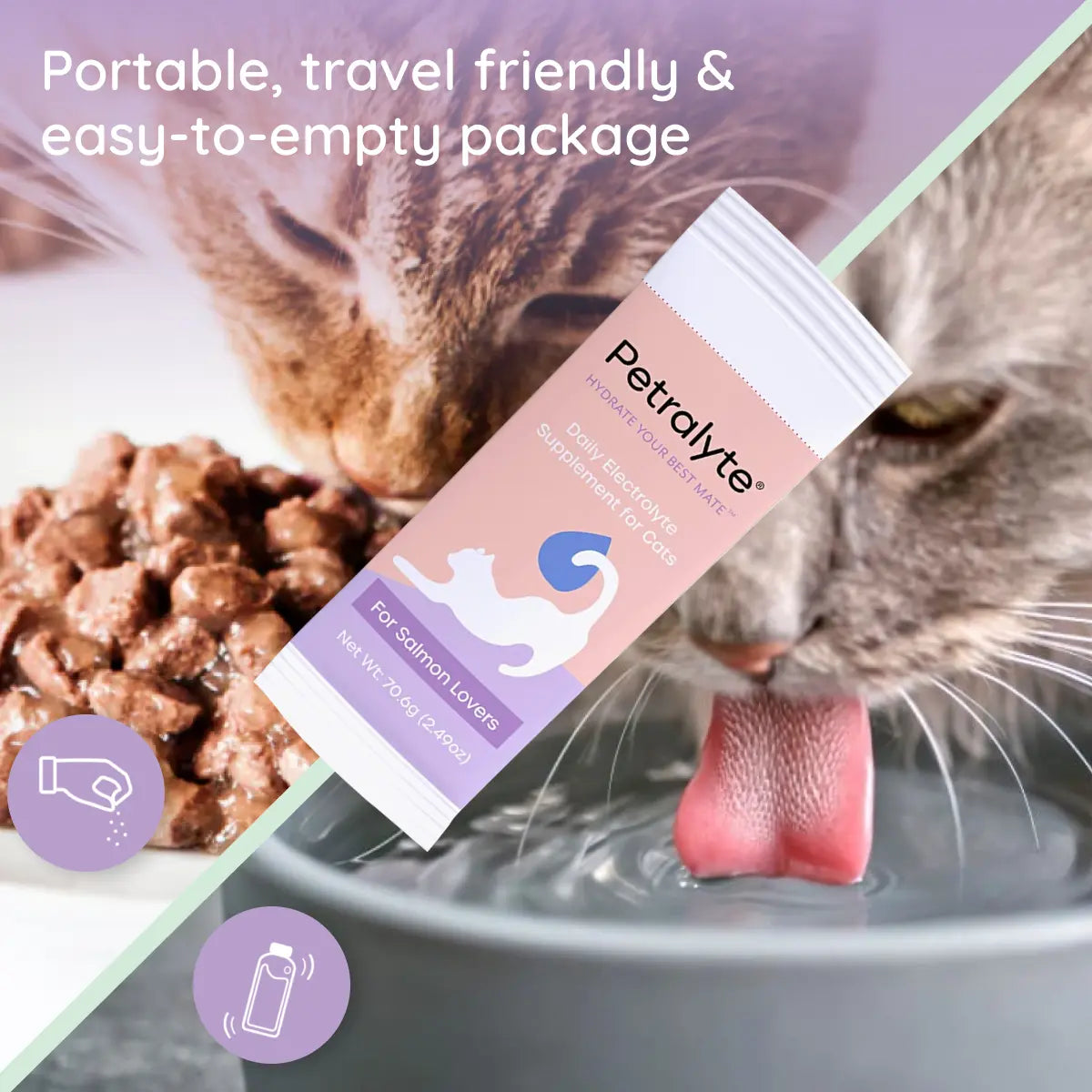 Cat Electrolyte and Joint Supplement