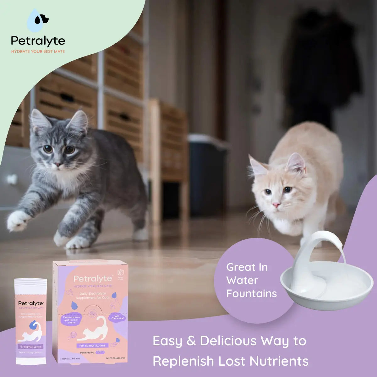 Cat Electrolyte and Joint Supplement