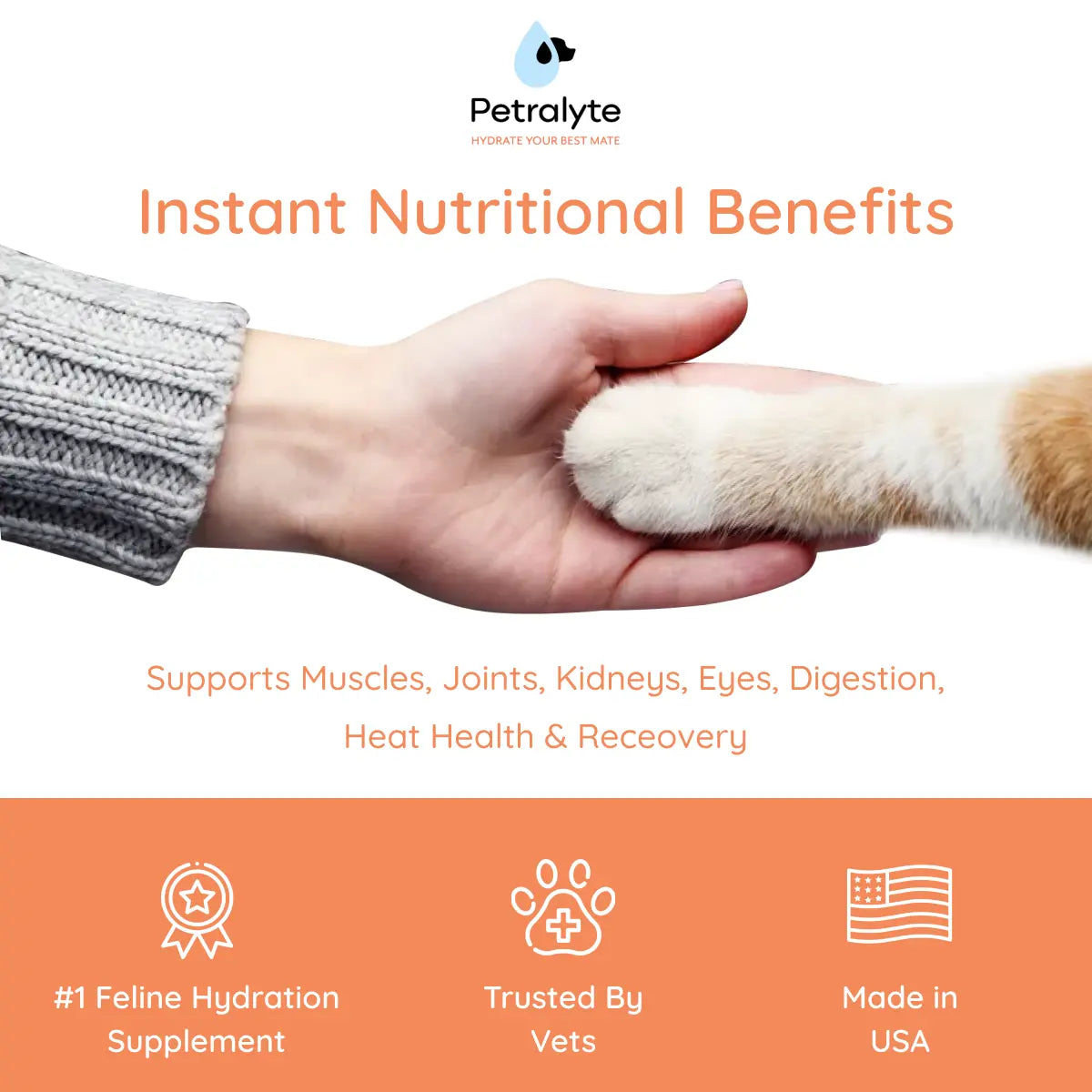 Cat Electrolyte and Joint Supplement