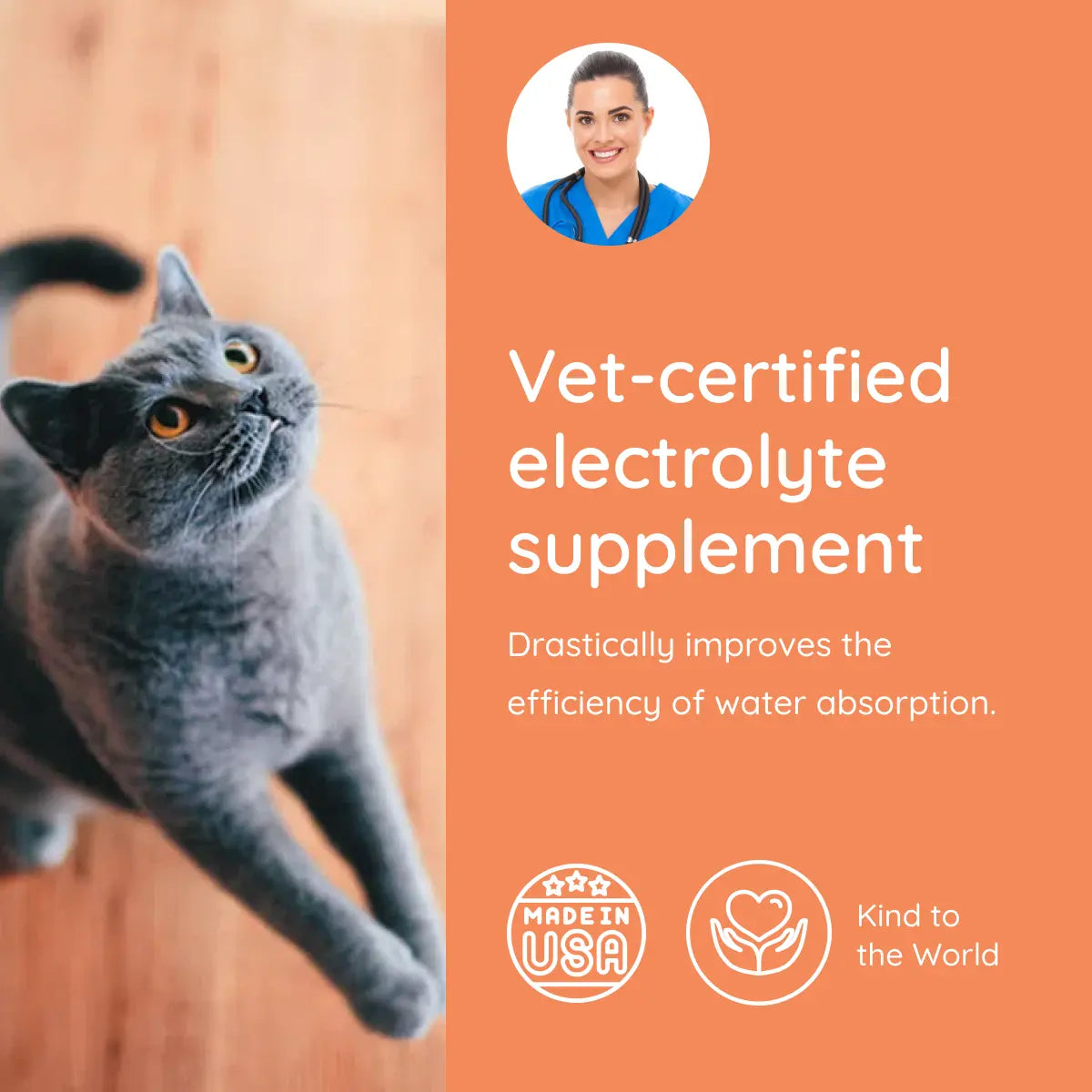 Cat Electrolyte and Joint Supplement