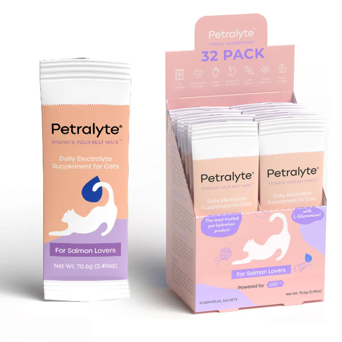 Cat Electrolyte and Joint Supplement