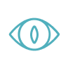 Vision Health
