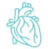 Heart Support