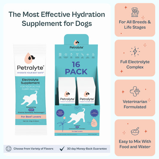 Dog Electrolyte and Joint Supplement