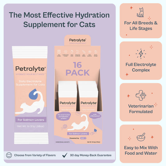 Cat Electrolyte and Joint Supplement